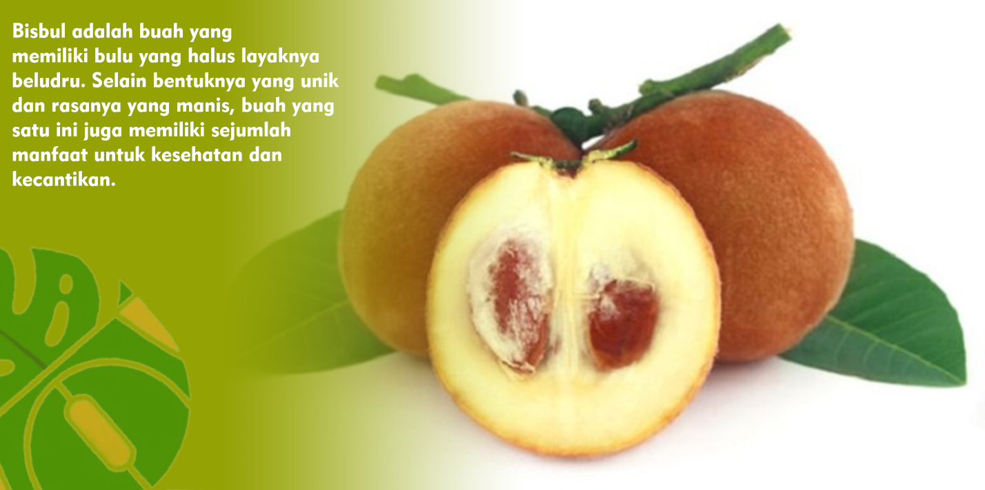 Khasiat Buah Bisbul Baik Untuk Menjaga Kesehatan Tulang